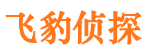 顺河找人公司